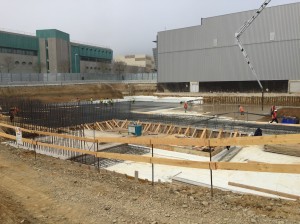 novartis siena (13)